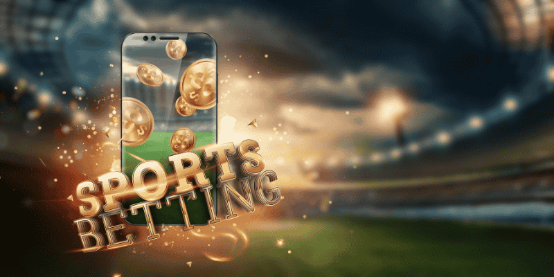 FB SPORTS S666 – Nền tảng thể thao đỉnh cao 4 Chia sẻ các kinh nghiệm khi tham gia thể thao