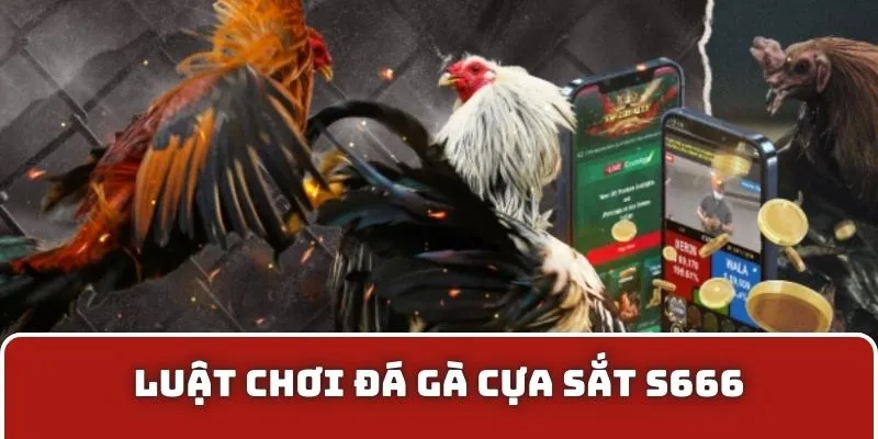 Luật chơi đá gà cựa sắt S666